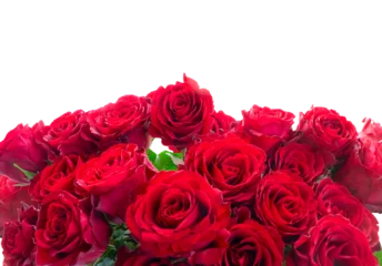 Fototapeten Crimson red rose flowers © neirfy