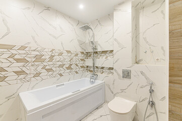 interior apartment room bathroom, sink, decorative elements, toilet