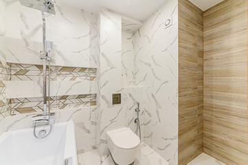 interior apartment room bathroom, sink, decorative elements, toilet