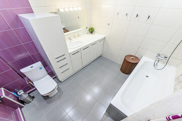 interior apartment room bathroom, sink, decorative elements, toilet