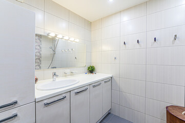 interior apartment room bathroom, sink, decorative elements, toilet