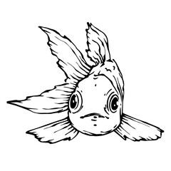 Sketch, doodle of a goldfish. Vector graphics.