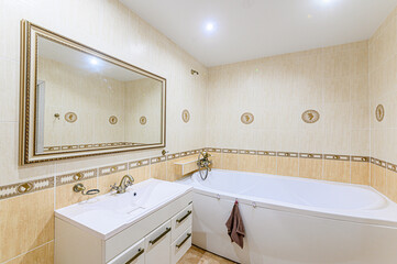 interior apartment room bathroom, sink, decorative elements, toilet