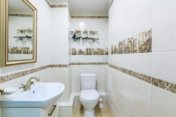 interior apartment room bathroom, sink, decorative elements, toilet