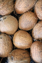 Several coconuts in a black plastic case, fresh delicious coconuts, fruit ready for shipment, field...