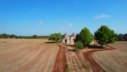 Alberobello - Italy - Apulia - Aerial view of trulli houses in rural area