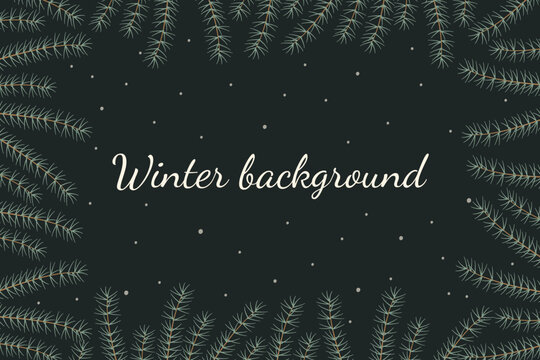 Winter background of pine twigs. Rectangular frame for Christmas and New Year.