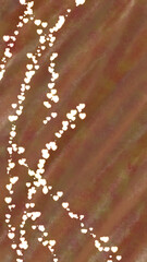 Brown abstract background 