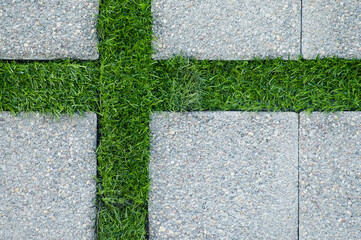 decorative paving slabs with green grass stripes