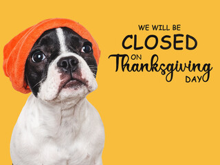 Signboard with the inscription We will be closed for the Holidays. Cute puppy and orange hat....
