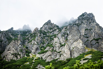 Mlynicka valley, High Tatras mountain, Slovakia