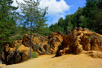  las i żółte skały w słońcu, forest and yellow rocks in sunlight, krajobraz
