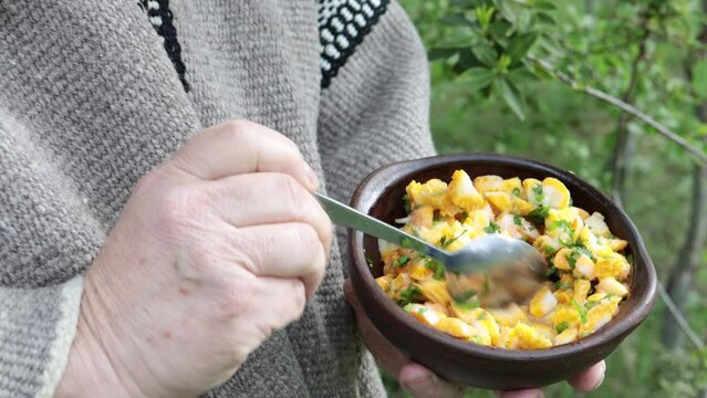 Close up of unrecognizable mapuche man, wearing a wool poncho, eating diguenes, edible mushroom from southern Chile.