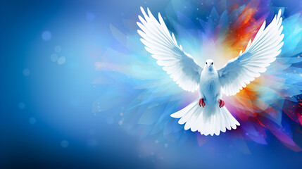 White dove on blue background