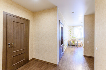 interior apartment room doors, renovation corridor lobby entrance hall