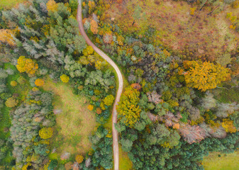 Above view on the countryside road between colorful autumn forest. Drone footage