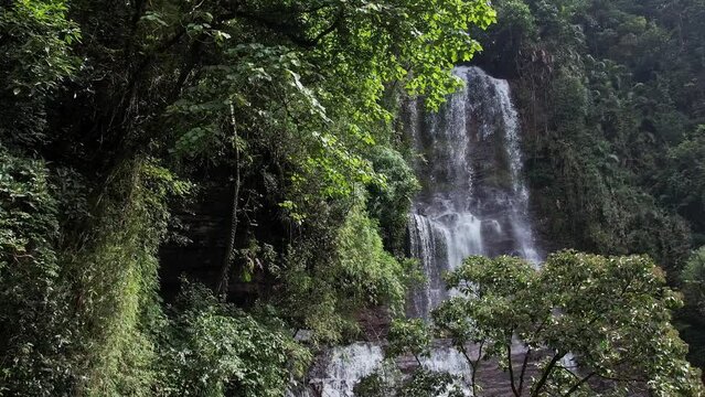 A cinematic drone view of a mesmerising waterfall amidst dense forest in spring