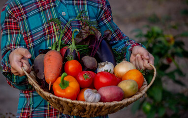 A child holds a harvest of vegetables in his hands. Selective focus