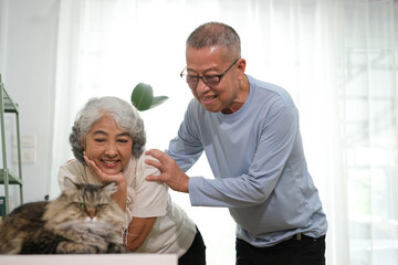Cheerful senior couple with their cat