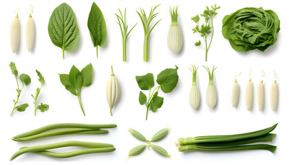 Beautiful Chinese vegetables and leaf elements, set of various types of Chinese Long Beans and Daikon Radish, Lotus Root, isolated on white background  - obrazy, fototapety, plakaty