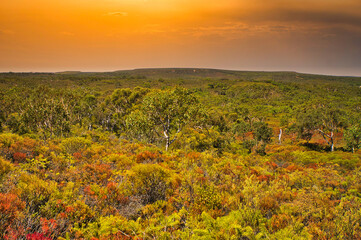 Fiery sunset over the indigenous coastal vegetation of the mid-western coast of Western Australia. Hilly wilderness with low shrubs and trees