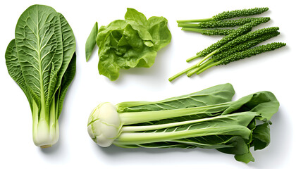 Beautiful Chinese vegetables and leaf elements, set of various types of Bok Choy (Pak Choi) and Chinese Broccoli (Gai Lan), Snow Peas, isolated on white background - obrazy, fototapety, plakaty