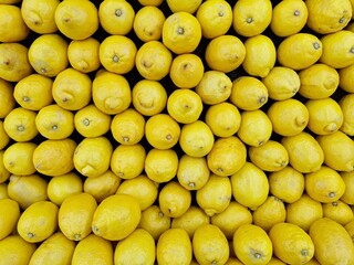 Rows of yellow lemons. Fruit theme texture background.