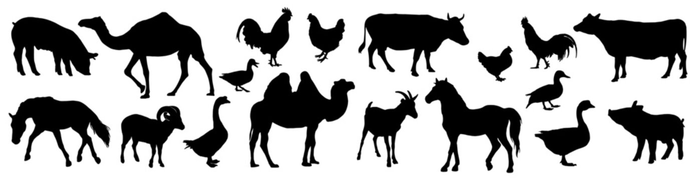 Set Farm animals silhouette illustration vector