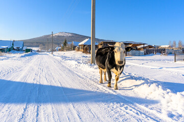 Winter snowy village in the Ural mountains.