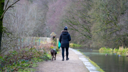 A woman walking her dog in the forest. Woman walking with her dog in autumn and taking her dog to pee