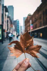 Fototapeten autumn in the city © jonatha