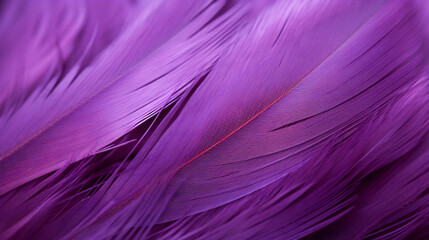 Purple Feather ultra macro close-up banner background. generative AI.