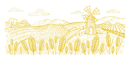 Landscape field with a windmill. Spikelets of wheat in the foreground. Hand drawn vector sketch.