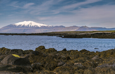 Ytri Tunga Beach In the south of the Snaesfellnes Peninsula, Iceland, Europe