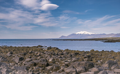 Ytri Tunga Beach In the south of the Snaesfellnes Peninsula, Iceland, Europe