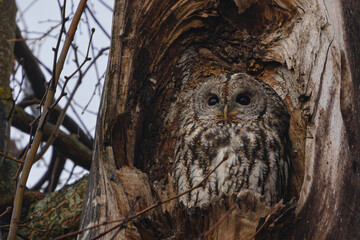 If the morning light doesn't make you squint