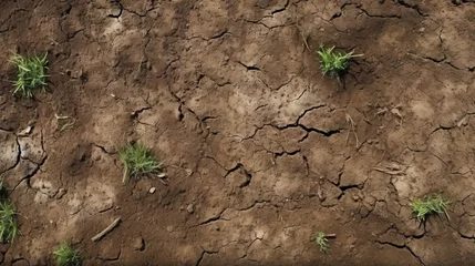 Foto op Plexiglas nature ground background texture of dried land soil © Nicolas Swimmer