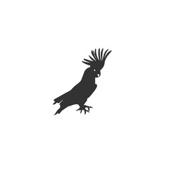 Silhouette of a Сockatoo parrot icon. Vector illustration flat sign