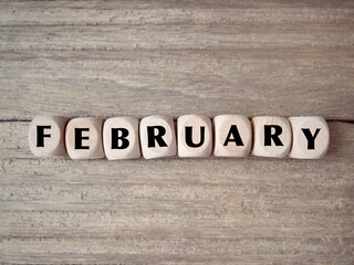 Month, time and celebration concept. FEBRUARYwritten on wooden blocks. With blurred styled background.