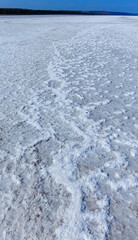 covered with a layer of white self-precipitating common salt