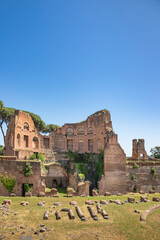 Fototapeta na wymiar Historical Palatine Hill located in Rome, Lazio, Italy
