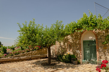 wine cellar