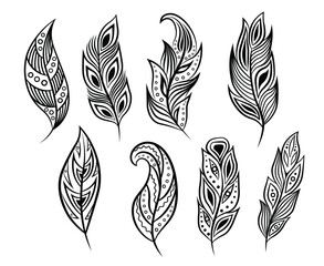 Fototapeta premium Set of ethnic feathers. Vintage Feather collection. Vector illustration