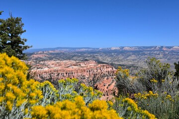 View at Bryce Canyon National Park in Utah