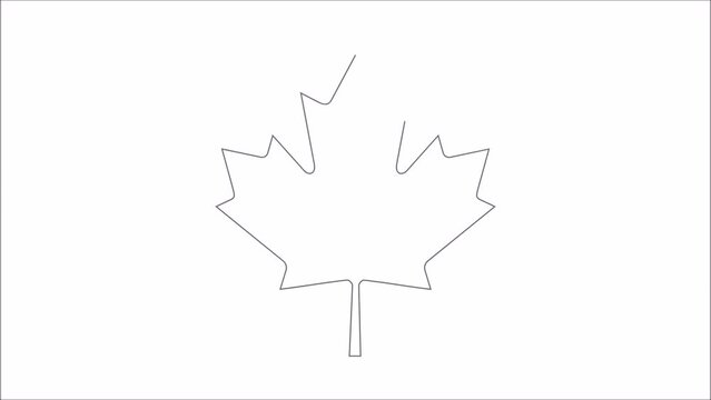 Animated Canadian flag, 3d rendering