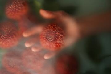 hand holding a dahlia flower on a background of flowers in a soft texture blur filter. abstract...
