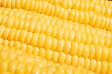 Corn texture background healthy food