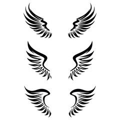 Fototapeta premium Set of hand drawn bird or angel wings of various shapes in open position.vector illustration