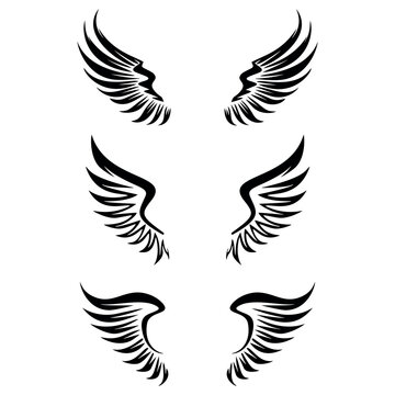 Set of hand drawn bird or angel wings of various shapes in open position.vector illustration
