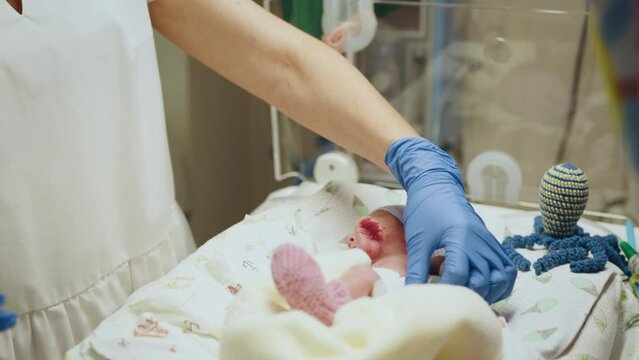 One-day-old newborn baby in intensive care unit in a medical incubator. Macro photo of child's hand. Newborn rescue concept